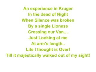 An experience in Kruger In the dead of Night When Silence was broken By a single Lioness Crossing our Van… Just Looking at me At arm’s length.. Life I thought is Over! Till it majestically walked out of my sight!