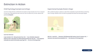 Extinction Conditioning Dogs The After Effects of Conditioning important concepts | PPTX