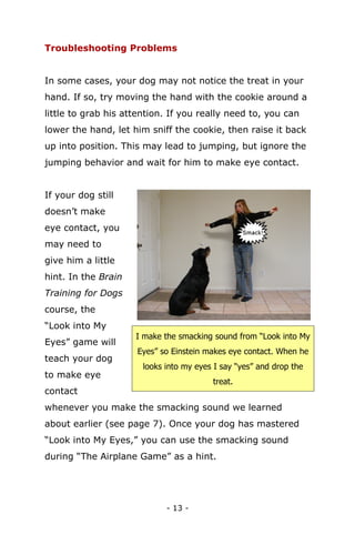 Complete Dog Training 101: How to Train your Dog Smarter | PDF