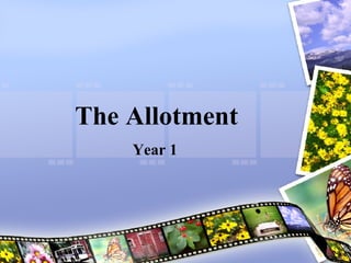 The Allotment Year 1 