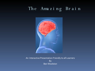 The Amazing Brain An  Interactive Presentation Friendly to all Learners By Ben Woolston 