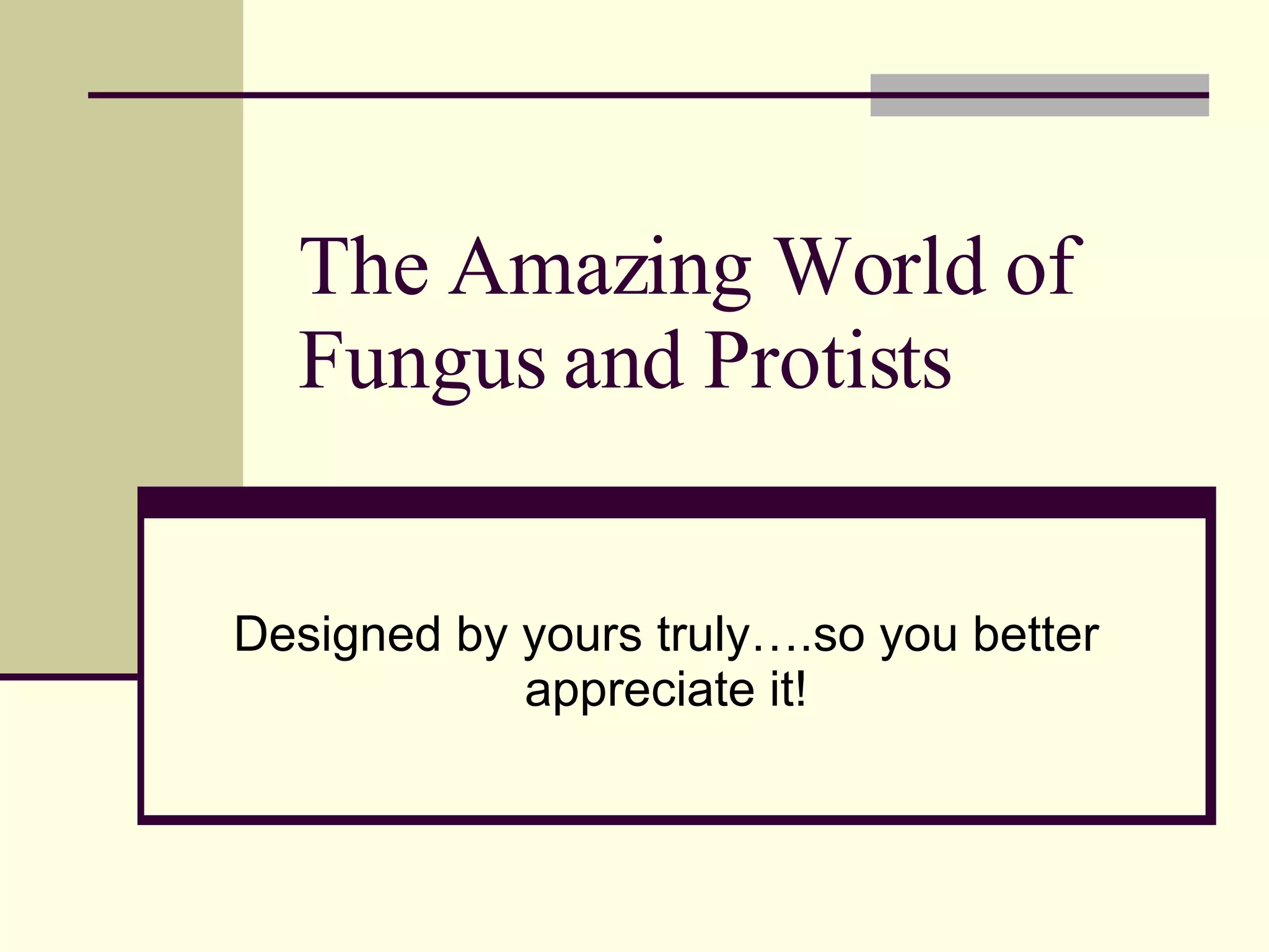 The Amazing Ways Protists Get Their Food - 8qez3d5