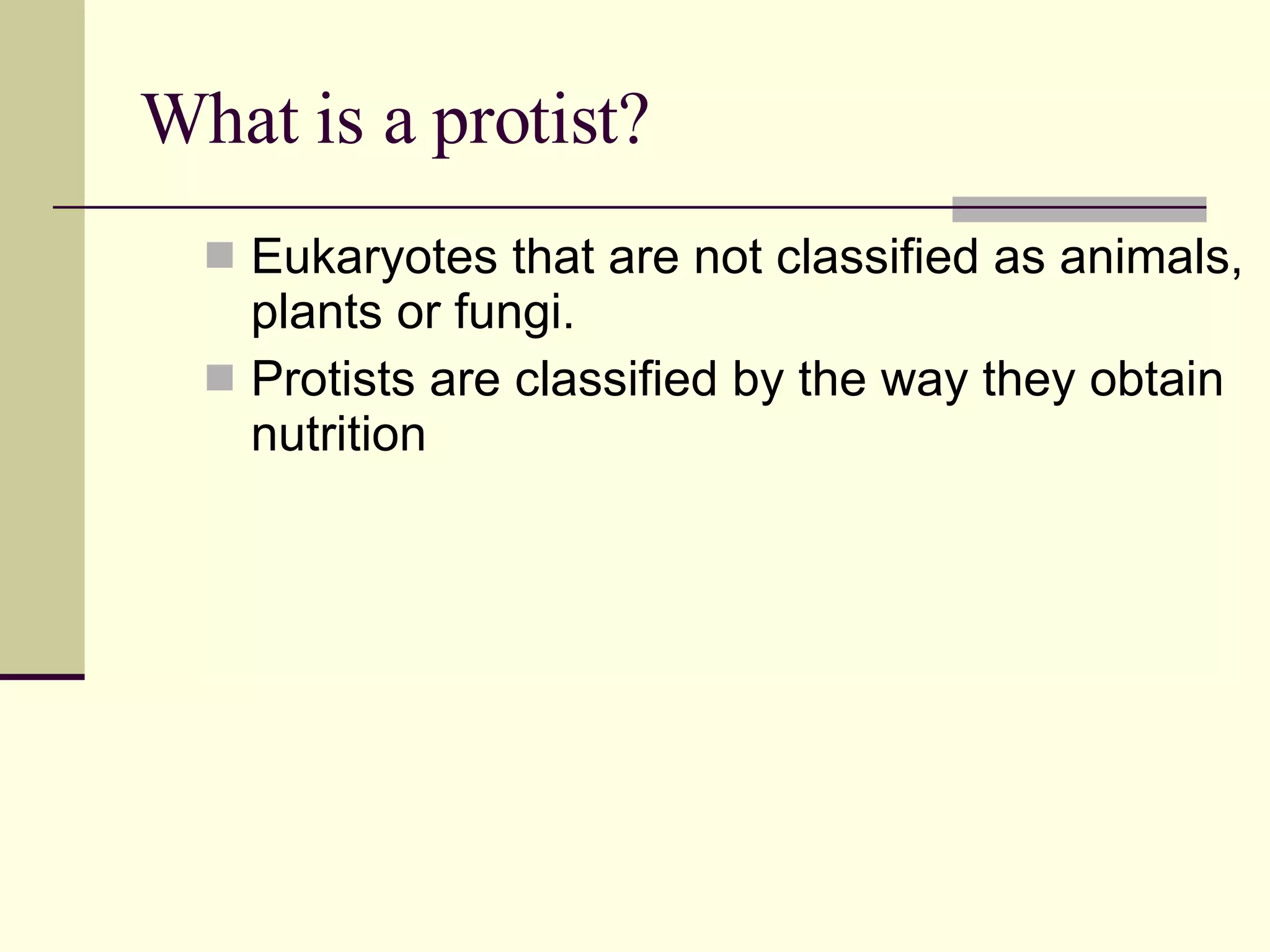 The Amazing Secret Life Of Protists: Unbelievable Coordinated Movement - nn9kwds
