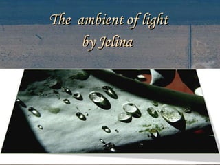The  ambient of light  by Jelina  
