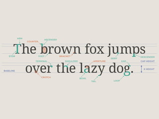 CAP HEIGHT
X HEIGHT
BASELINE
ASCENDER
DESCENDER
ARM
TAIL
STEM
TERMINAL EAR
BOWL
SHOULDER
SERIF
FOOT
LOOP
BRACKET
CROTCH
APERTURE
COUNTER
 
