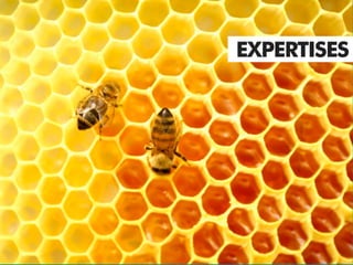 EXPERTISES
 