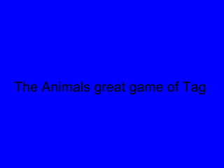 The Animals great game of Tag 