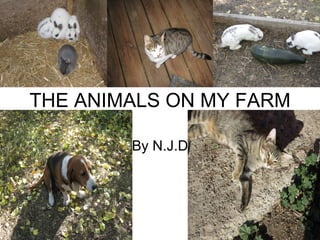 THE ANIMALS ON MY FARM By N.J.D 