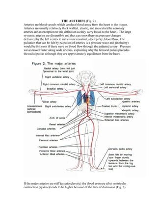 THE ARTERIES (Fig. 2)
Arteries are blood vessels which conduct blood away from the heart to the tissues.
Arteries are usually relatively thick walled , elastic, and muscular (the coronary
arteries are an exception to this definition as they carry blood to the heart). The large
systemic arteries are distensible and thus can smoothen out pressure changes
delivered by the left ventricle and ensure constant, albeit jerky, blood flow. The
pulsation that can be felt by palpation of arteries is a pressure wave and (in theory)
would be felt even if there were no blood flow through the palpated artery. Pressure
waves travel faster along wide arteries, explaining why the femoral pulses precedes
the radial pulses although they are approximately equidistant from the heart.
If the major arteries are stiff (arteriosclerotic) the blood pressure after ventricular
contraction (systole) tends to be higher because of the lack of distension (Fig. 3).
 