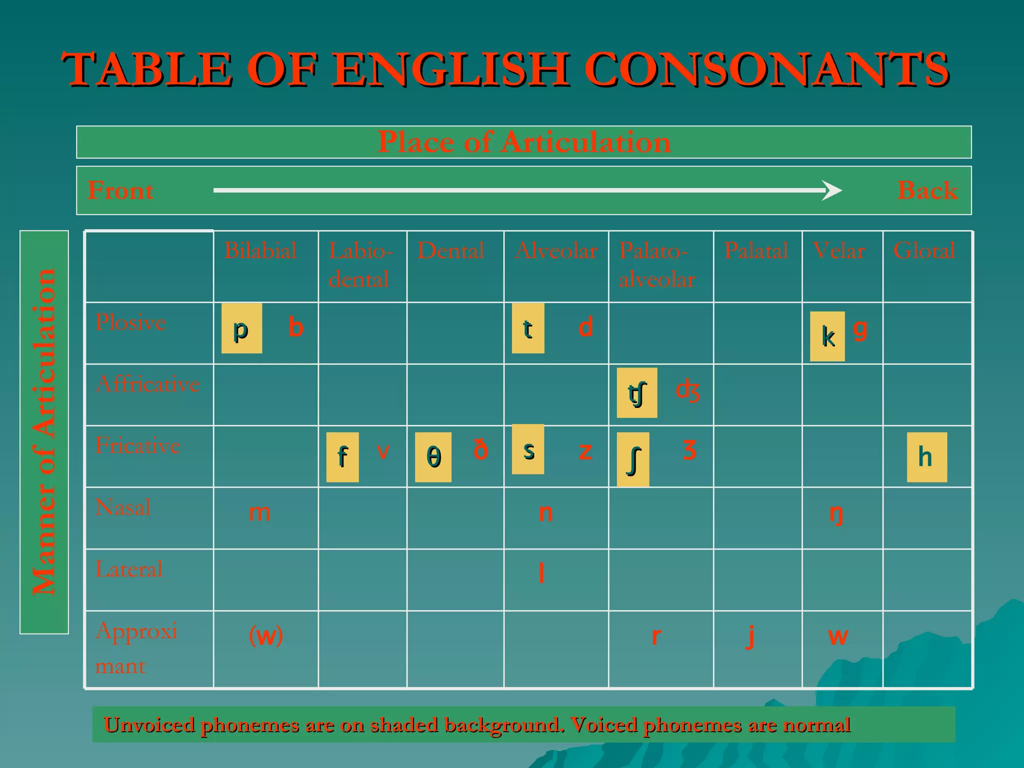 The Articulation Of Consonants | PPT