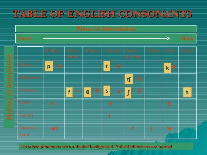 phonetics p b The Articulation Of Consonants phonetics p b The Articulation Of Consonants