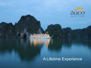 A Lifetime Experience
AA Lifetime Experience
Lifetime Experience

 