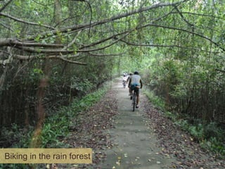 Biking in the rain forest

 