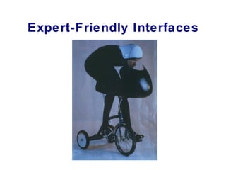 Expert-Friendly Interfaces 