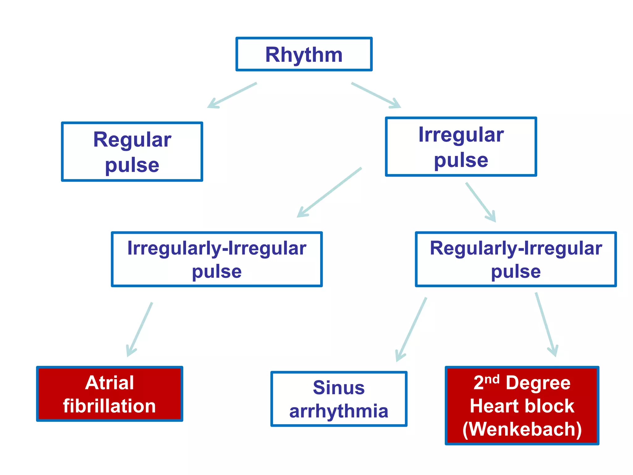 Rhythm
Regular
pulse
Irregular
pulse
Irregularly-Irregular
pulse
Regularly-Irregular
pulse
Sinus
arrhythmia
2nd Degree
Heart block
(Wenkebach)
Atrial
fibrillation
 
