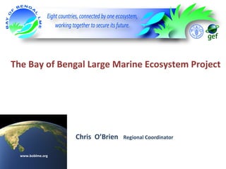 The Bay of Bengal Large Marine Ecosystem Project

Chris O’Brien
www.boblme.org

Regional Coordinator

 