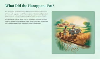 What Did the Harappans Eat?
The Harappans established many of their communities near the banks
of rivers, both large and small. This was a clever decision as it provided
easy access to water and supported agriculture by enriching the soil.
Archaeological findings reveal that the Harappans cultivated different
types of cereals, including barley, wheat, some millets, and occasionally
rice. They also grew pulses and various kinds of vegetables.
 
