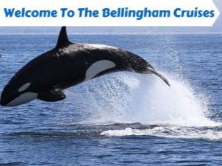 Bellingham Ferry Cruise Terminal