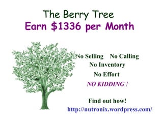 The Berry Tree  Earn $1336 per Month ,[object Object],[object Object],[object Object],[object Object],[object Object],[object Object]