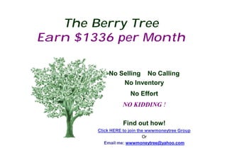 The Berry Tree
Earn $1336 per Month

            No Selling No Calling
                No Inventory
                      No Effort
                   NO KIDDING !

                   Find out how!
        Click HERE to join the wwwmoneytree Group
                             Or
           Email me: wwwmoneytree@yahoo.com