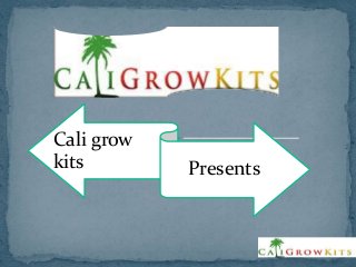Cali grow
kits        Presents
 