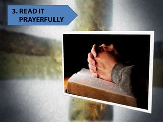 The bible and I (shared using VisualBee)