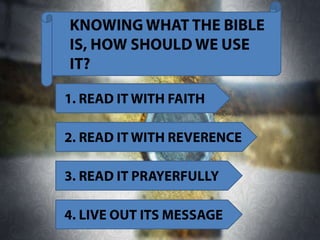 The bible and I (shared using VisualBee)