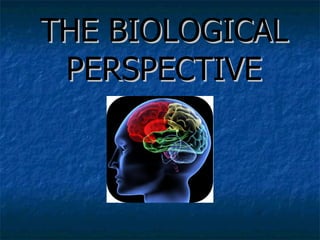 THE BIOLOGICAL PERSPECTIVE 