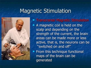 Magnetic Stimulation Transcranial Magnetic Stimulation A magnetic coil is held on the scalp and depending on the strength of the current, the brain areas can be made more or less active, that is, the neurons can be  “switched on and off” From this technique functional maps of the brain can be generated 