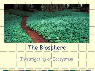 The Biosphere Investigating an Ecosystem 