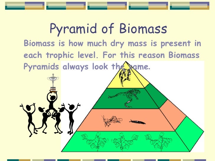 The Biosphere Extended