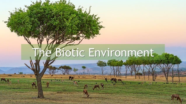 Biotic Environment Pictures 83