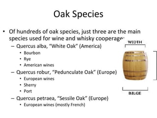 The Blend is the Brand