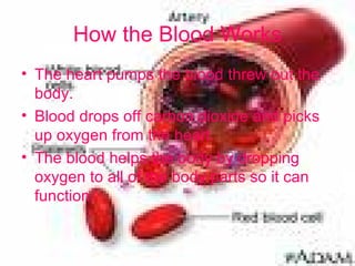 How the Blood Works The heart pumps the blood threw   out the body. Blood drops off carbon dioxide and picks up oxygen from the heart. The blood helps the body by dropping oxygen to all of the body parts so it can function. 