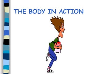 THE BODY IN ACTION 