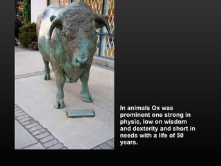 In animals Ox was prominent one strong in physic, low on wisdom and dexterity and short in needs with a life of 50 years. 