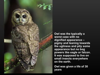 Owl was the typically a worst case with no dignified appearance – pigmy and leaning towards the ugliness and pity some appearance but no bog powers like eagle or falcon.  It was supposed to live on small insects everywhere on the earth. Owl was given a life of 30 years 