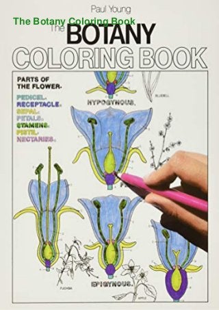 The Botany Coloring Book
 