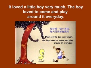 4
It loved a little boy very much. The boy
loved to come and play
around it everyday.
 