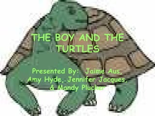 THE BOY AND THE TURTLES Presented By:  Jaime Aus, Amy Hyde, Jennifer Jacques, & Mandy Plucker 
