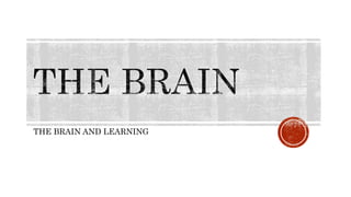 THE BRAIN AND LEARNING
 