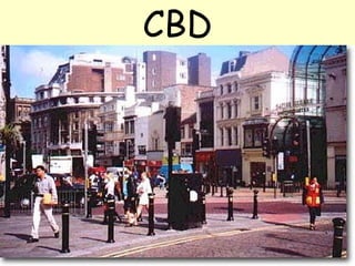 CBD 