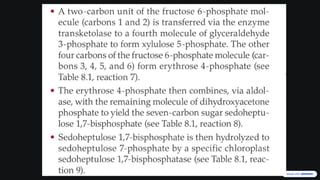Comprehensive Overview of the Calvin-Benson Cycle in Photosynthesis | PPTX