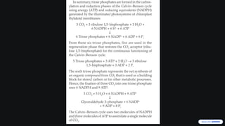 Comprehensive Overview of the Calvin-Benson Cycle in Photosynthesis | PPTX