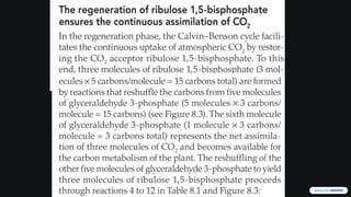 Comprehensive Overview of the Calvin-Benson Cycle in Photosynthesis | PPTX