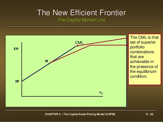 capital asset pricing model equation