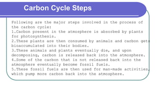 Carbon Cycle Steps
Following are the major steps involved in the process of
the carbon cycle:
1.Carbon present in the atmosphere is absorbed by plants
for photosynthesis.
2.These plants are then consumed by animals and carbon gets
bioaccumulated into their bodies.
3.These animals and plants eventually die, and upon
decomposing, carbon is released back into the atmosphere.
4.Some of the carbon that is not released back into the
atmosphere eventually become fossil fuels.
5.These fossil fuels are then used for man-made activities,
which pump more carbon back into the atmosphere.
 