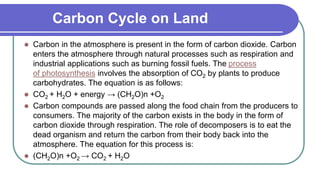 Carbon Cycle on Land
 Carbon in the atmosphere is present in the form of carbon dioxide. Carbon
enters the atmosphere through natural processes such as respiration and
industrial applications such as burning fossil fuels. The process
of photosynthesis involves the absorption of CO2 by plants to produce
carbohydrates. The equation is as follows:
 CO2 + H2O + energy → (CH2O)n +O2
 Carbon compounds are passed along the food chain from the producers to
consumers. The majority of the carbon exists in the body in the form of
carbon dioxide through respiration. The role of decomposers is to eat the
dead organism and return the carbon from their body back into the
atmosphere. The equation for this process is:
 (CH2O)n +O2 → CO2 + H2O
 