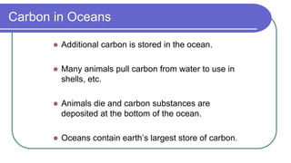 Carbon in Oceans
 Additional carbon is stored in the ocean.
 Many animals pull carbon from water to use in
shells, etc.
 Animals die and carbon substances are
deposited at the bottom of the ocean.
 Oceans contain earth’s largest store of carbon.
 