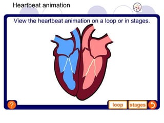 Heartbeat animation
 